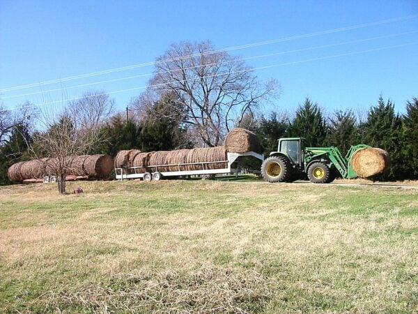 Grayson County