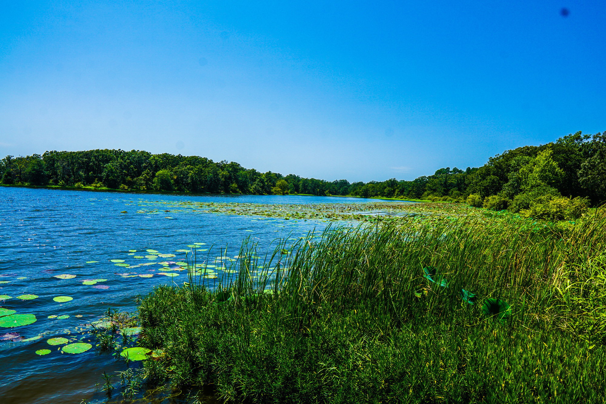Coffee Mill Lake