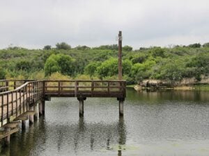 Lake Corpus Christi